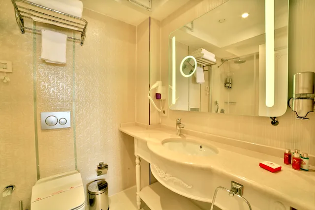 Deluxe, Double Bed, Yilsam Sultanahmet Hotel 8/8