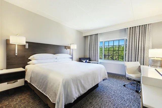 غرفة بسرير مزدوج لذوي الإعاقة، Sheraton Jacksonville Hotel 4/5