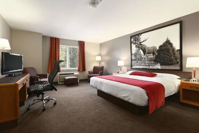 Room, King Bed, Accessible, Super 8 by Wyndham North Bay 1/3
