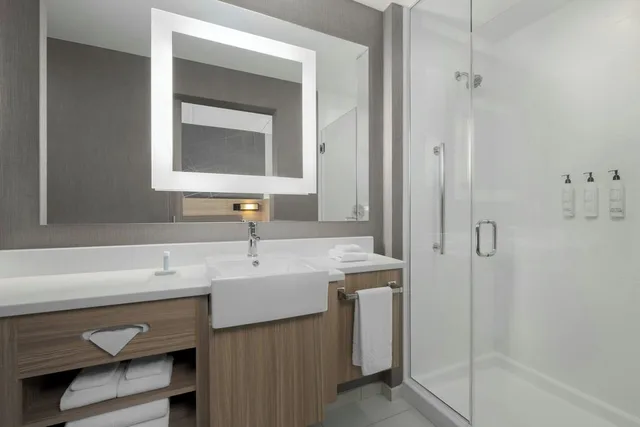 جناح بسرير كينج مع سرير سحّاب إضافي لذوي الإعاقة، SpringHill Suites by Marriott Athens Downtown/University Area 4/5