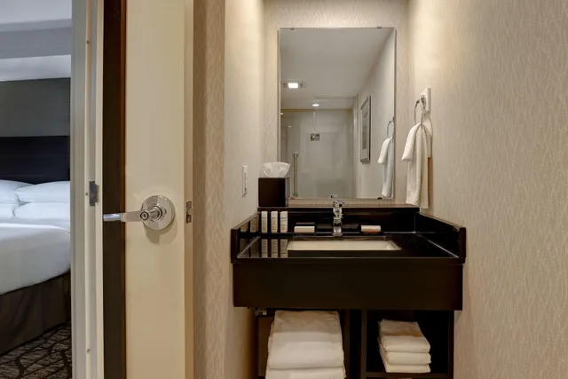 Studio, Suite, King Bed, City View, Embassy Suites By Hilton Niagara Falls Fallsview 2/2