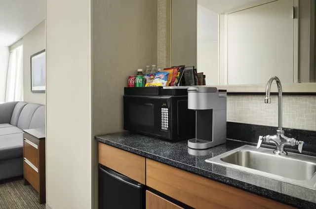 جناح بريميوم بإطلالة على المدينة، Embassy Suites by Hilton Chicago Downtown Magnificent Mile 3/3