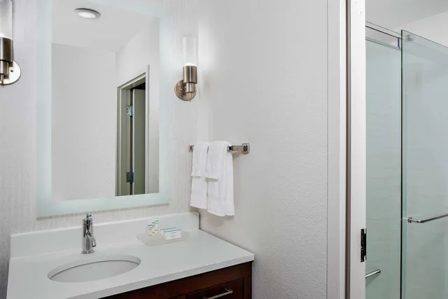 غرفة بسرير كينج بغرفة نوم واحدة لذوي الإعاقة، HOMEWOOD SUITES BY HILTON NASHVILLE-DOWNTOWN 2/2