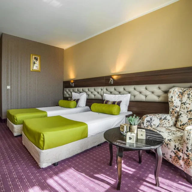 غرفة بسرير فردي بإطلالة على المدينة، Business Hotel Plovdiv 6/10