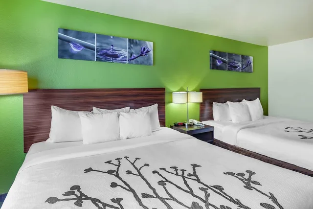 Standard, 2 King Beds, Sleep Inn & Suites Hewitt - South Waco 2/6