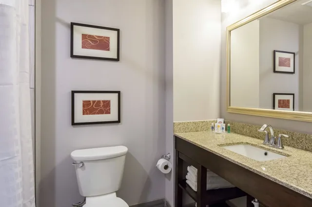 غرفة قياسية بسرير كينج، Comfort Inn & Suites Lovington, NM 6/6