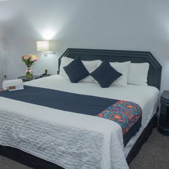غرفة بسرير كينج، Nk Hotel Nekie Tepic 3/10