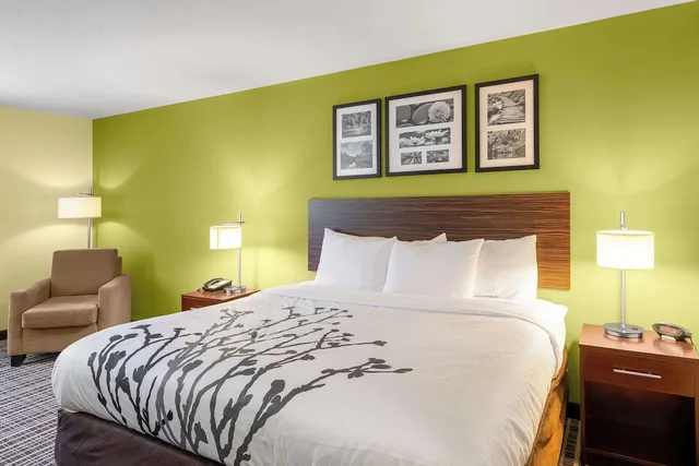 غرفة قياسية بسرير كينج، Sleep Inn & Suites Harbour Pointe VA 3/4