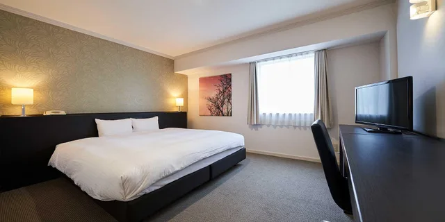 غرفة ديلوكس مفردة بسرير كينج للمدخنين، Hotel Royal Stay Sapporo 1/1