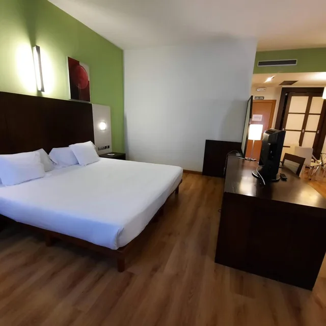 غرفة بريميوم بسرير مزدوج، Sercotel La Borona 1/4