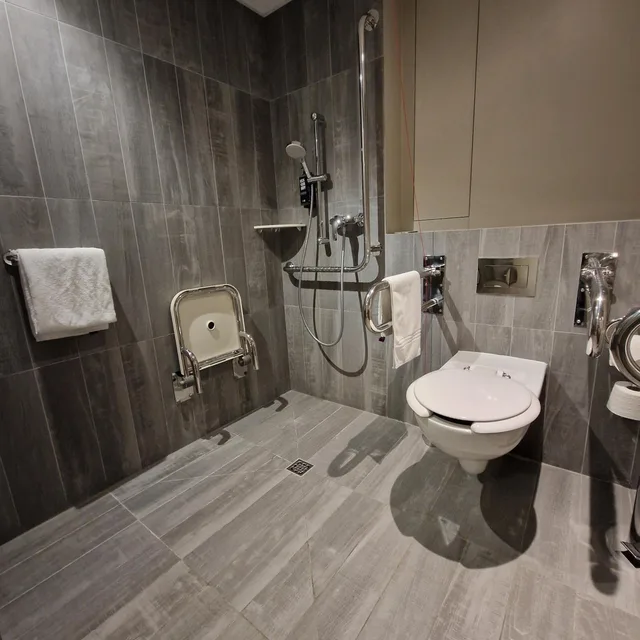 غرفة بسرير كينج لذوي الإعاقة، Ibis Poznan Centrum 9/10