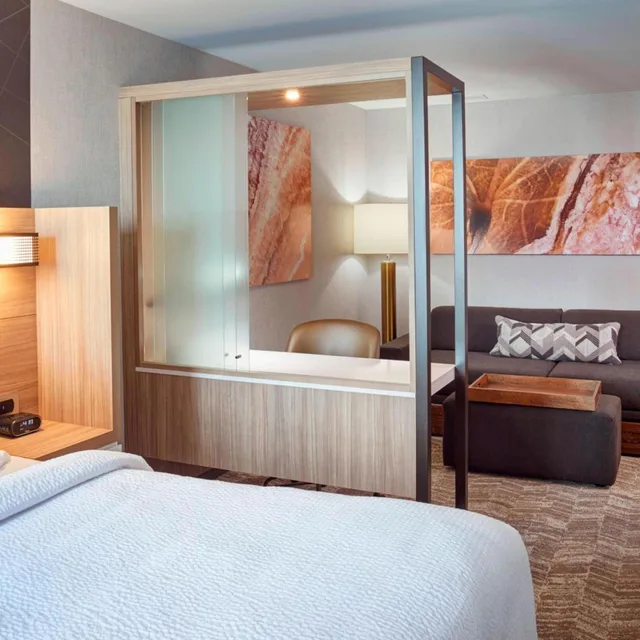 جناح بسرير كينج مع أريكة لذوي الإعاقة، Springhill Suites Grand Rapids West 1/10