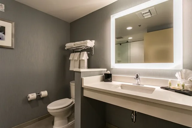 غرفة قياسية بسريرين كوين بإطلالة على المدينة، Holiday Inn Hotel & Suites CHATTANOOGA DOWNTOWN 4/5