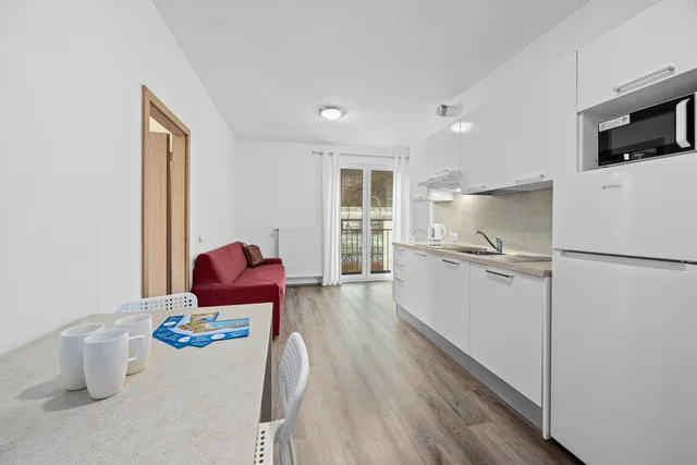 One bedroom apartment for 2 persons with balcony، Prague City Residence 3/9
