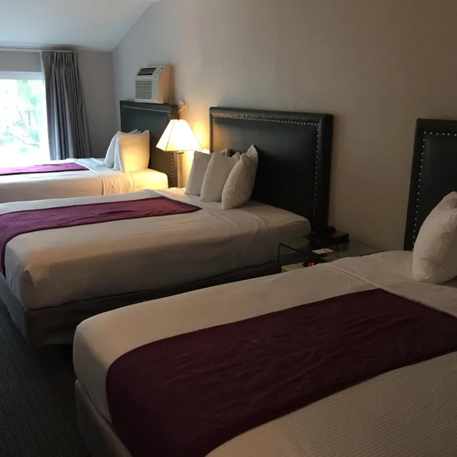 غرفة قياسية ثلاثية، Hotel Iris San Diego 3/9