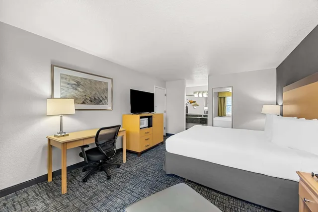غرفة قياسية بسرير كينج، Best Western Horizon Inn 1/2