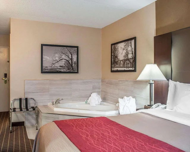 Executive, Suite, King Bed, Comfort Inn Fort Erie 1/4