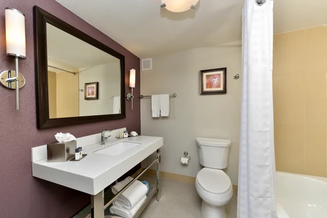 Pure, Wellness, King Bed, Accessible، DoubleTree by Hilton Orlando East - UCF Area 3/3