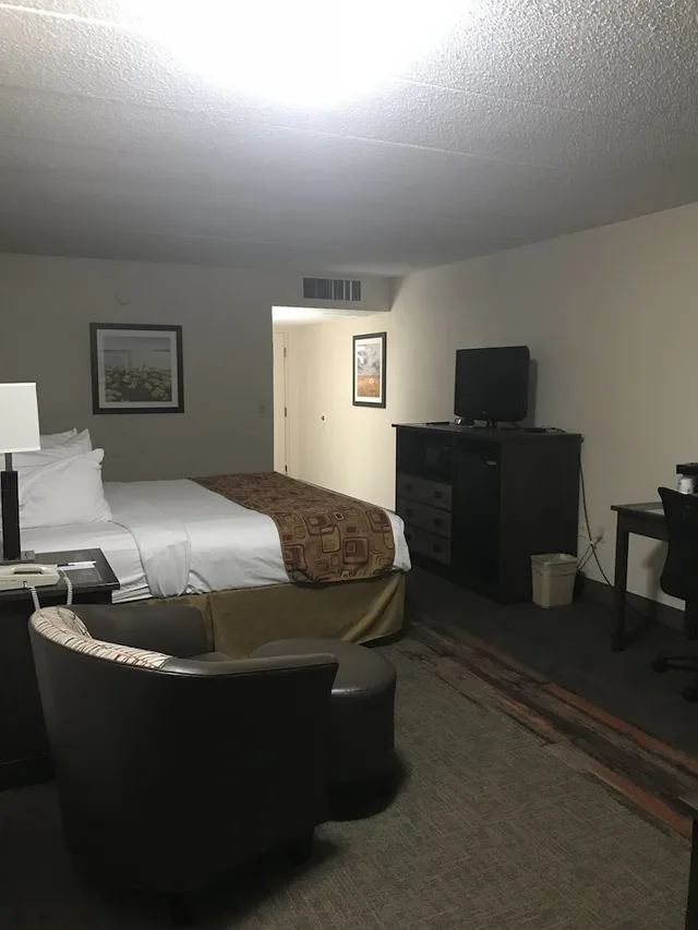 Standard, King Bed, Large, Best Western Kelly Inn 4/5