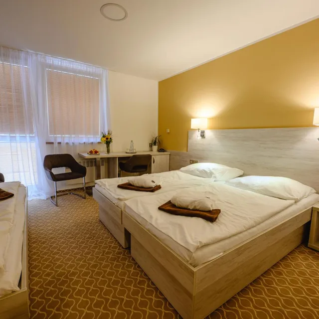 غرفة ثلاثية، Hotel Vega Luhacovice 1/6