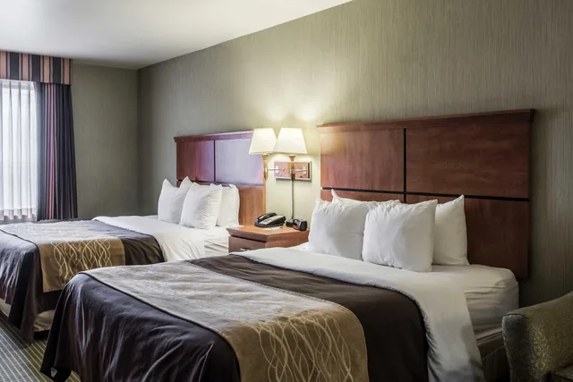 غرفة رباعية لذوي الإعاقة، Comfort Inn & Suites Mitchell I-90 1/1