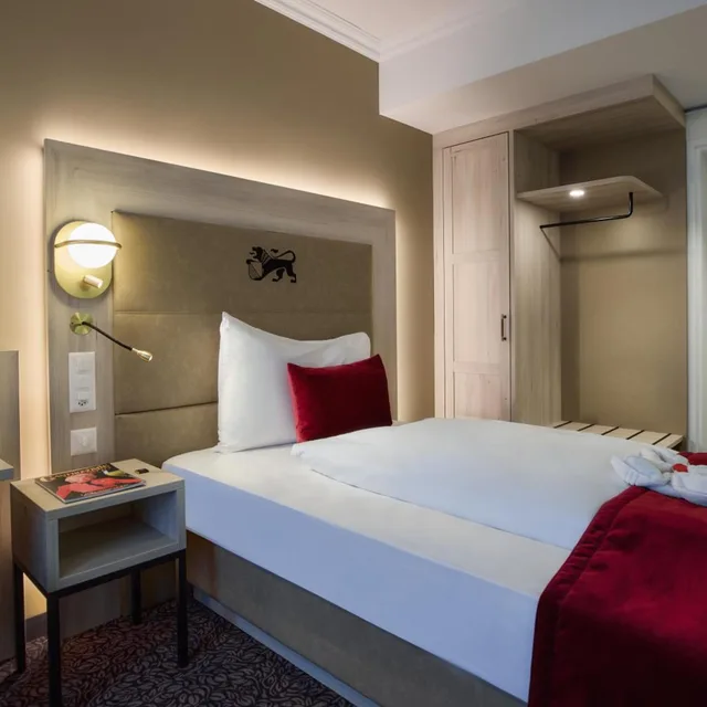 غرفة بزنس ديلوكس مفردة، HOTEL ST GOTTHARD 1/10