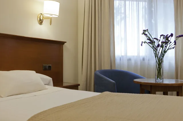 غرفة قياسية بسريرين منفصلين، Alixares Hotel 7/10