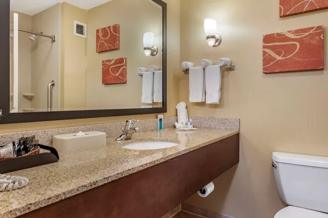 جناح تنفيذي بسرير كينج، Comfort Suites Urbana Champaign University Area 9/10