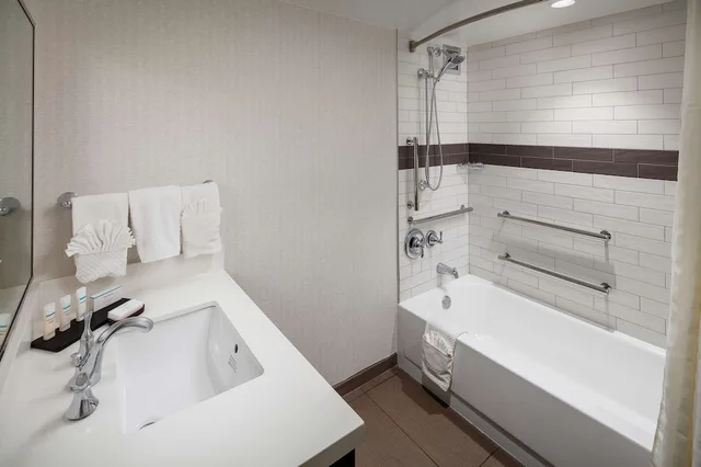 غرفة بسرير كينج مع أريكة لذوي الإعاقة، Embassy Suites Tysons Corner 3/4