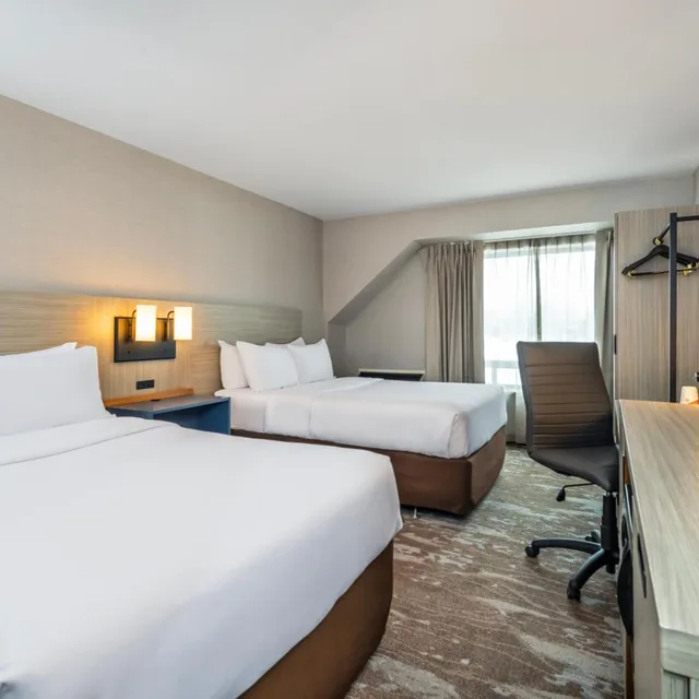 Standard, King Bed, 2 Queen Beds, Comfort Inn Gatineau 4/9