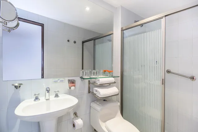 غرفة قياسية بسرير مزدوج، San Pablo Hotel 5/5