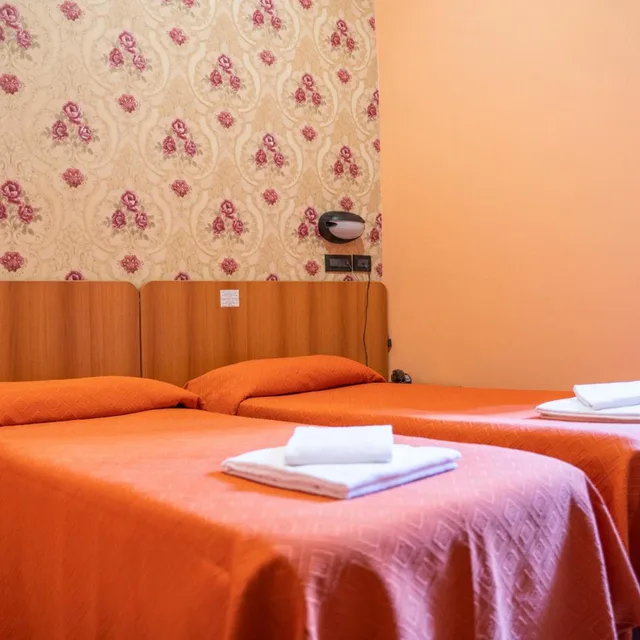 Room, Double or Twin Bed, Hotel Ferrarese Roma 4/10