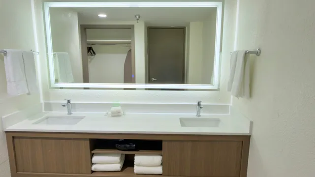 Suite, King Bed, Stadium View، Holiday Inn Houston S Nrg Area Medical Center 4/4