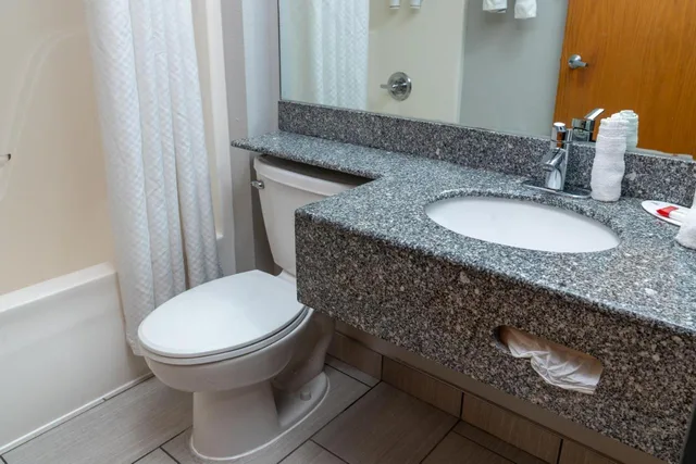 استوديو بسرير كينج، Microtel Inn and Suites by Wyndham Pigeon Forge 3/3