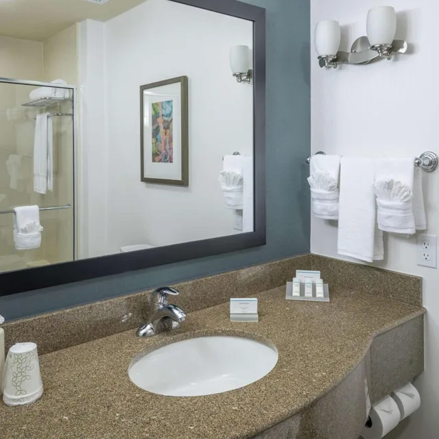 غرفة بريميوم بسريرين كوين، Hilton Garden Inn Dfw North Grapevine 4/4