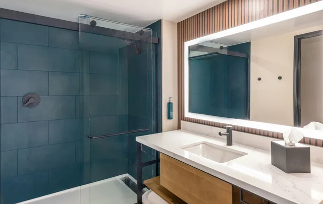 جناح بسرير كينج بغرفة نوم واحدة، Hilton Phoenix Resort at the Peak 4/4