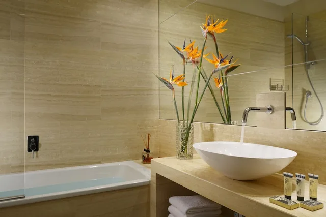 غرفة بريميوم مفردة بسرير مزدوج، Grand Hotel Minerva 4/4