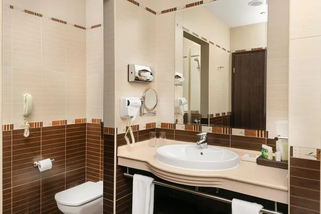 غرفة ديلوكس بسرير مزدوج، PARK PIRIN HOTEL 4/4