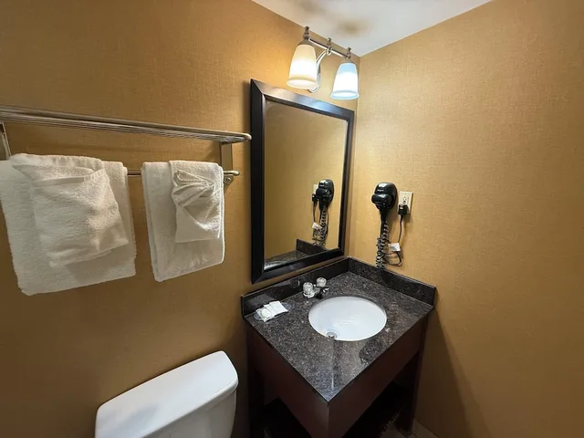 غرفة ديلوكس بسريرين كوين، Hotel Hanna 4/4