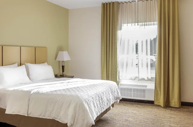 جناح استوديو بسرير كوين بحوض استحمام لذوي الإعاقة، Candlewood Suites Brighton 1/3