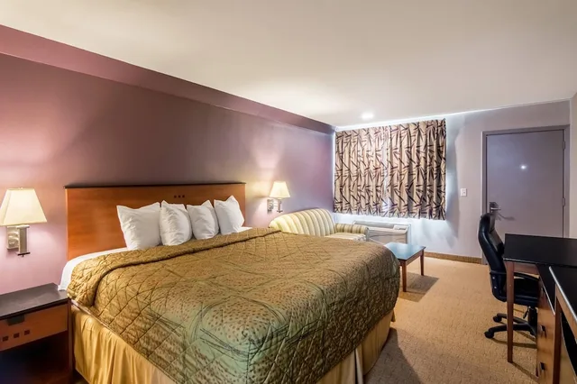 غرفة بسرير كينج يُسمح فيها بالحيوانات الأليفة للمدخنين، Rodeway Inn Arlington Entertainment District Area 7/10