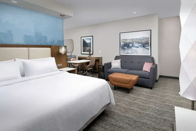 استوديو بسرير كينج بحوض استحمام لذوي الإعاقة، Embassy Suites By Hilton Knoxville Downtown 1/2