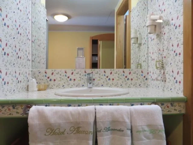 جناح جونيور بسريرين منفصلين بإطلالة على البحيرة بشرفة، Hotel Alexander 4/4