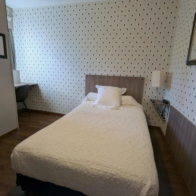 Standard, Single, Hotel Des Arts 2/4