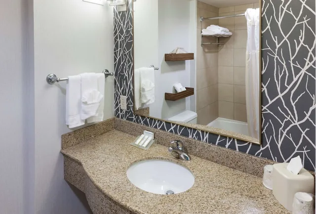 Evolution, King Bed، Hilton Garden Inn Austin North 7/8