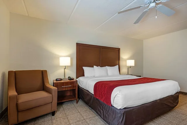غرفة قياسية بسرير كينج مع أريكة، Comfort Inn Kissimmee Lake Buena Vista South 1/10