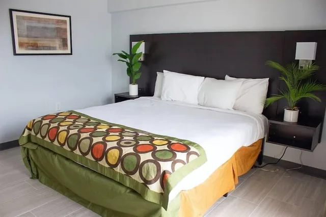Suite, King Bed, Ocean Front, Sofa، The Dolphin Inn 2/8
