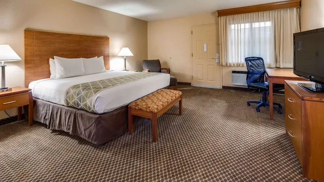 Suite, King Bed, Adult Only، Best Western Cottonwood Inn 5/10