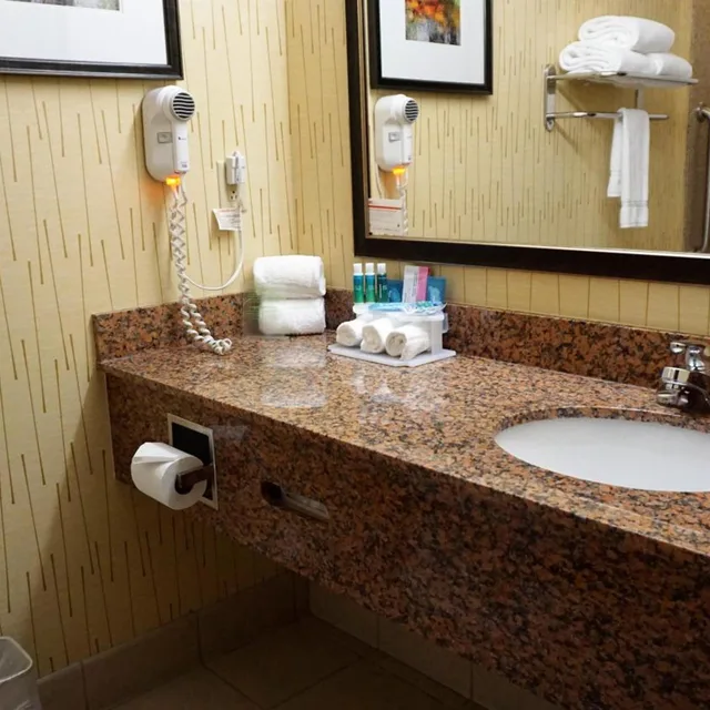 جناح استوديو بسرير كينج لذوي الإعاقة، Holiday Inn Express Hotel Suites Gibson 4/6