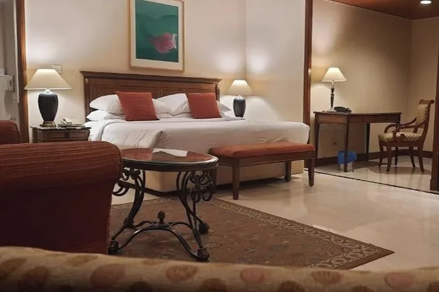 جناح بسرير كينج، The Hans Plaza 7/10